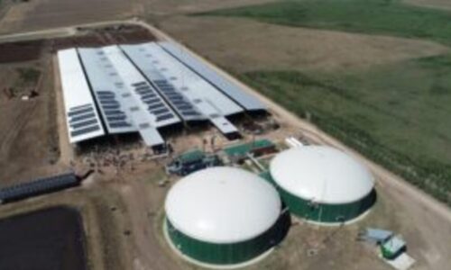 Biogas