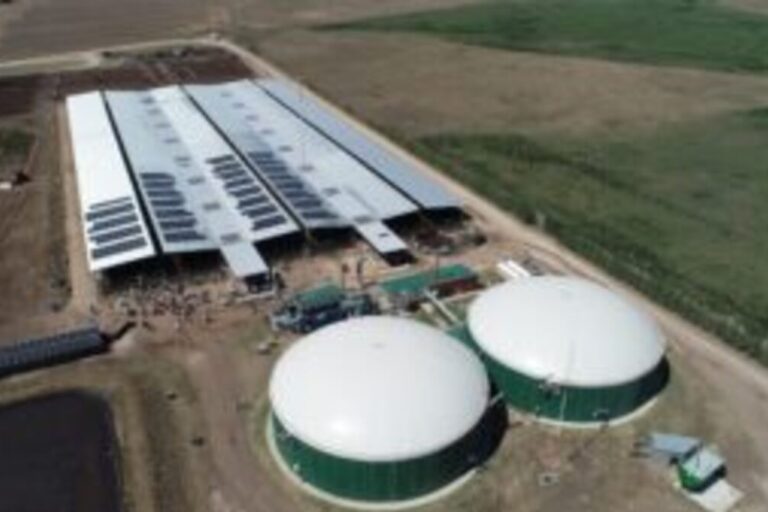 Biogas