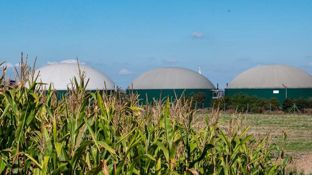 Biogas