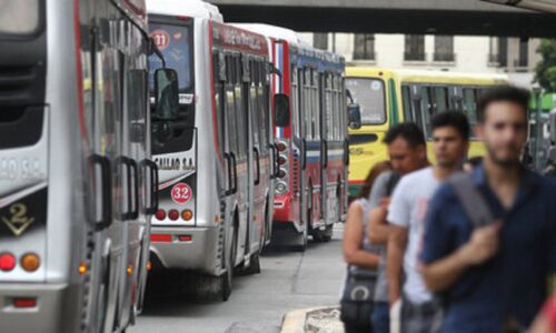 colectivos