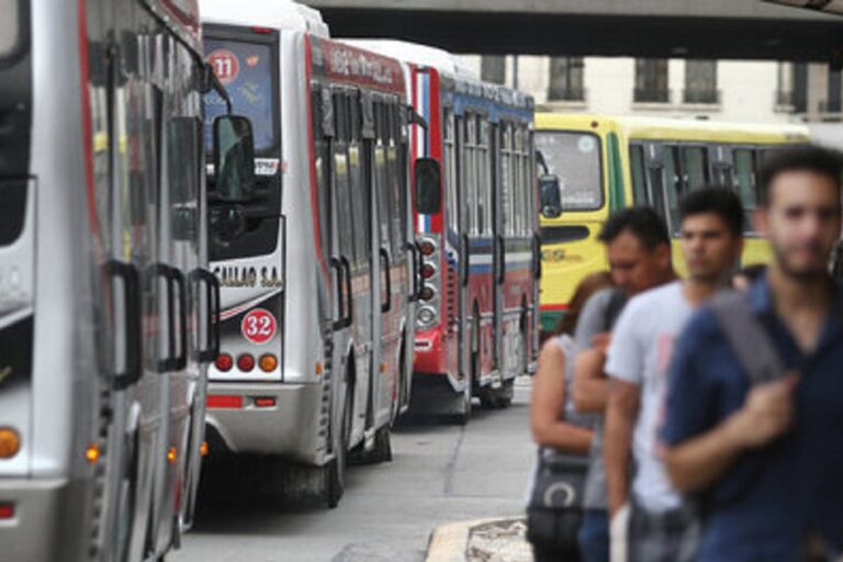 colectivos