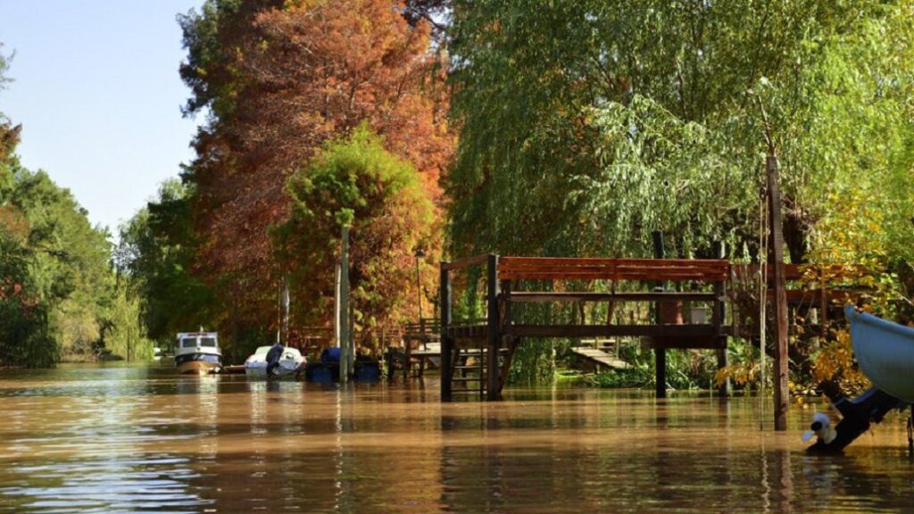 transporte fluvial delta