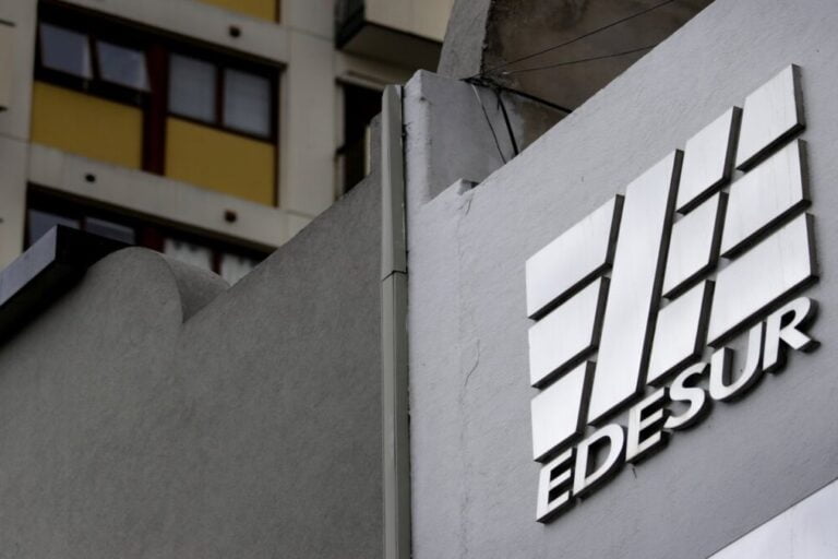 EDESUR, ENEL