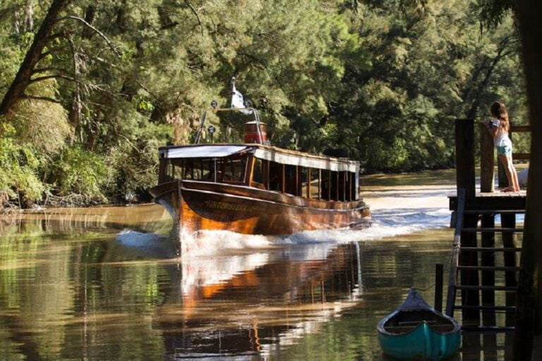 transporte fluvial delta