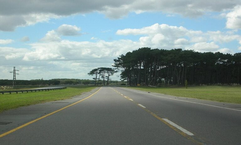 Ruta 11