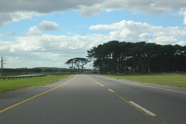 Ruta 11