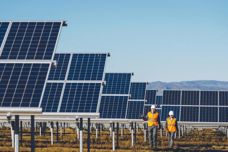 parque solar YPF luz