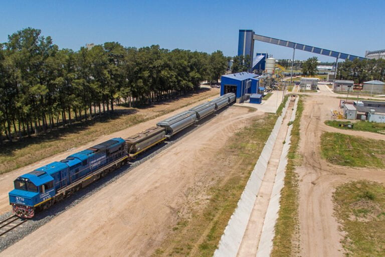 Trenes Argentinos Cargas, Ministerio de Transporte