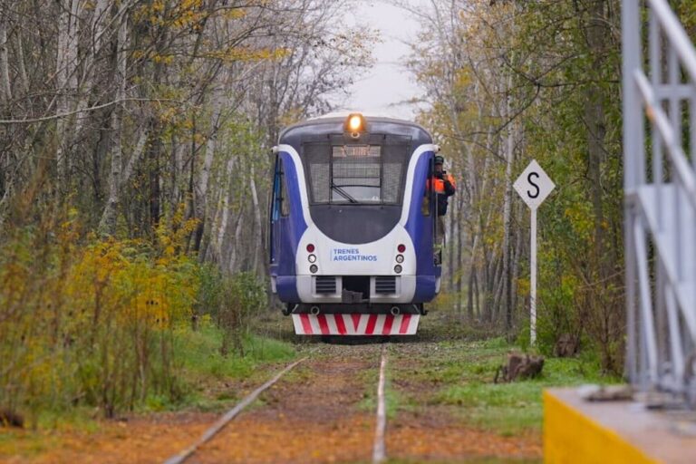 Trenes Argentinos, Belgrano Sur