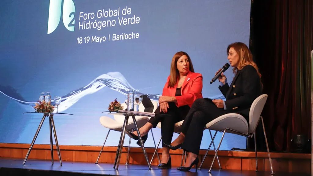 Flavia Royón, Secretaría de Energía