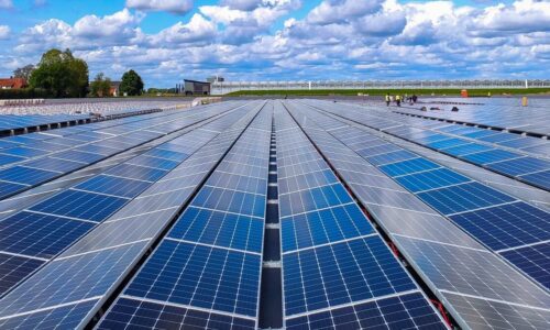 Paneles solares, energías renovables