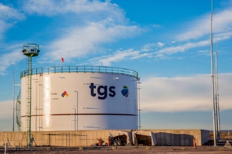 TGS, TGN, Pampa Energía, Tecpetrol.
