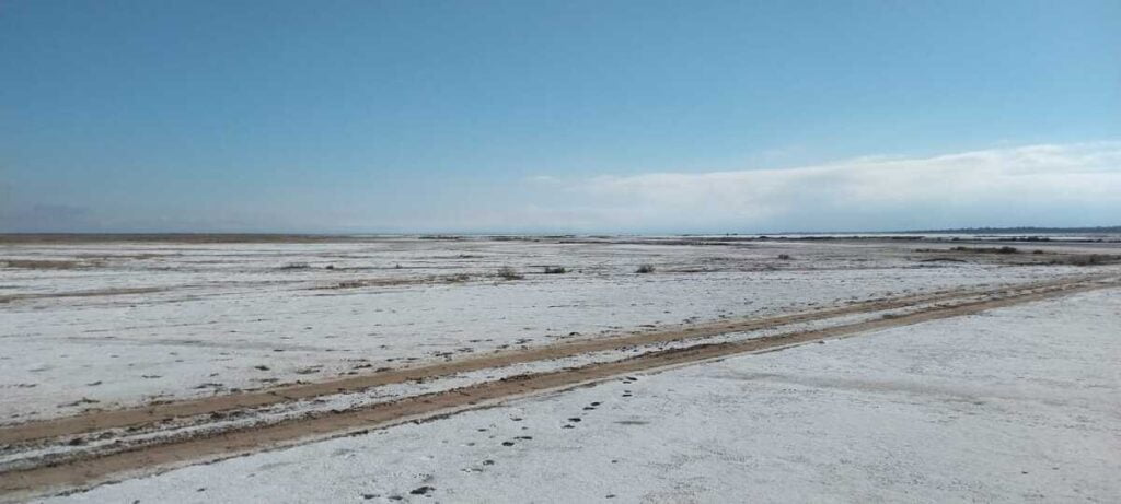 Litio, salar, minería, Mascasín