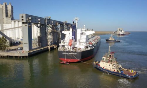 Puerto Bahía Blanca, Cargill