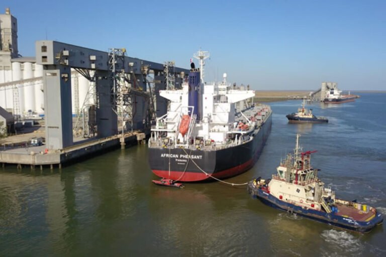 Puerto Bahía Blanca, Cargill