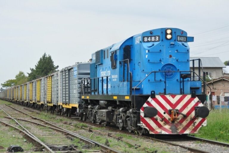 Trenes Argentinos Cargas, Línea San Martin