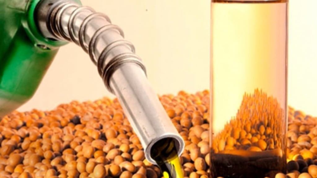 Soja, Azucar, Agroindutria, Bioetanol, Biodiesel