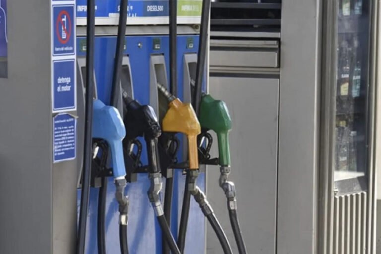 Biocombustibles, Estaciones de Servicio, Secretaría de Energía