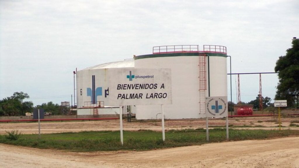 Palmar Lago, litio, REFSA