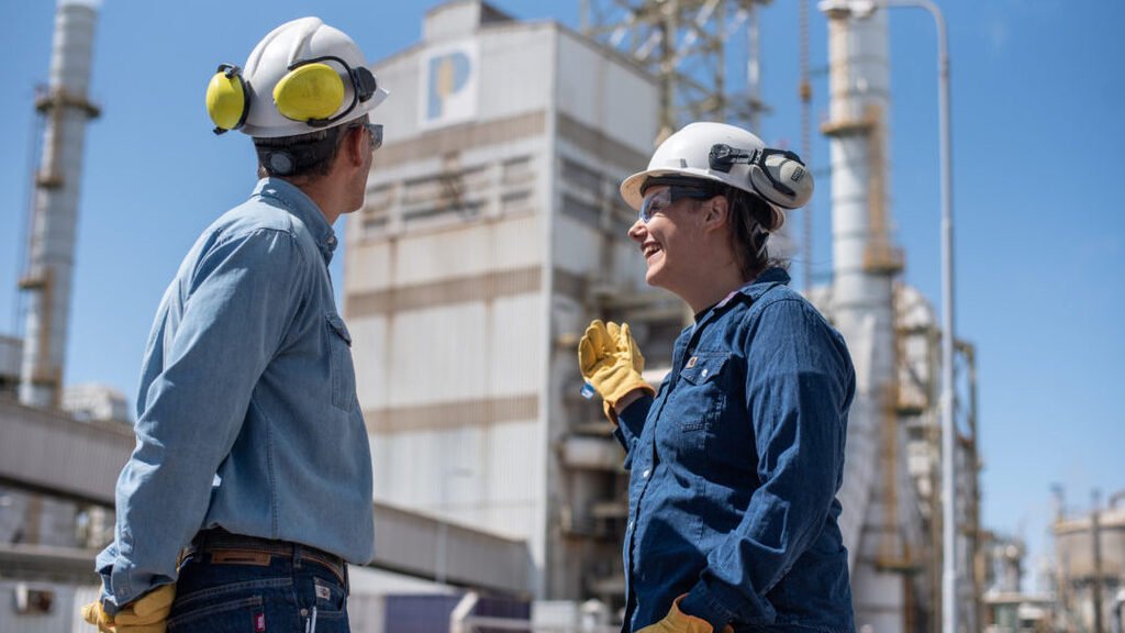 Energía eólica, YPF Luz