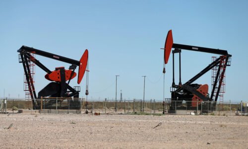 Petróleos Sudamericanos, Neuquén