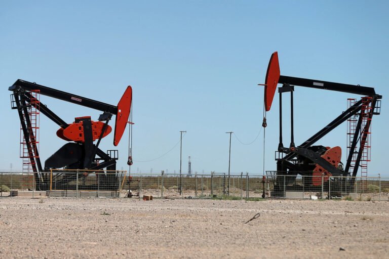 Petróleos Sudamericanos, Neuquén