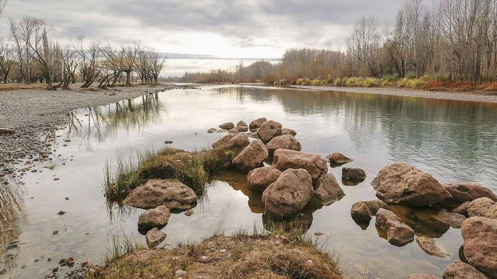Plan provincial, ADINQN, Impacto ambiental