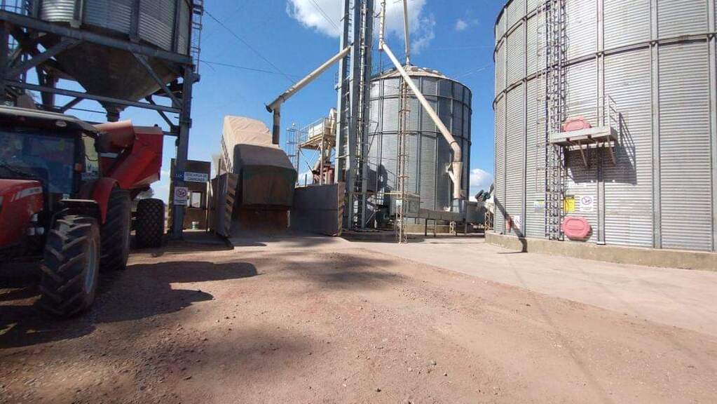 Planta de Acopio, Salta, Agro