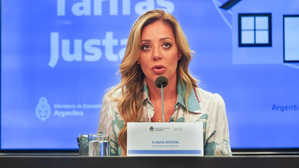 Flavia Royón, secretaria de energía de la Nación. Ministerio de Economía.