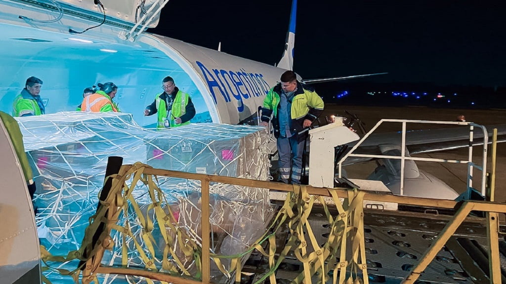 Avión Transporte de Carga Aerolíneas Argentinas