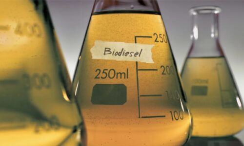 biodiesel