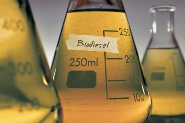 biodiesel