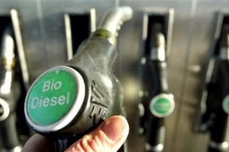 biocombustibles