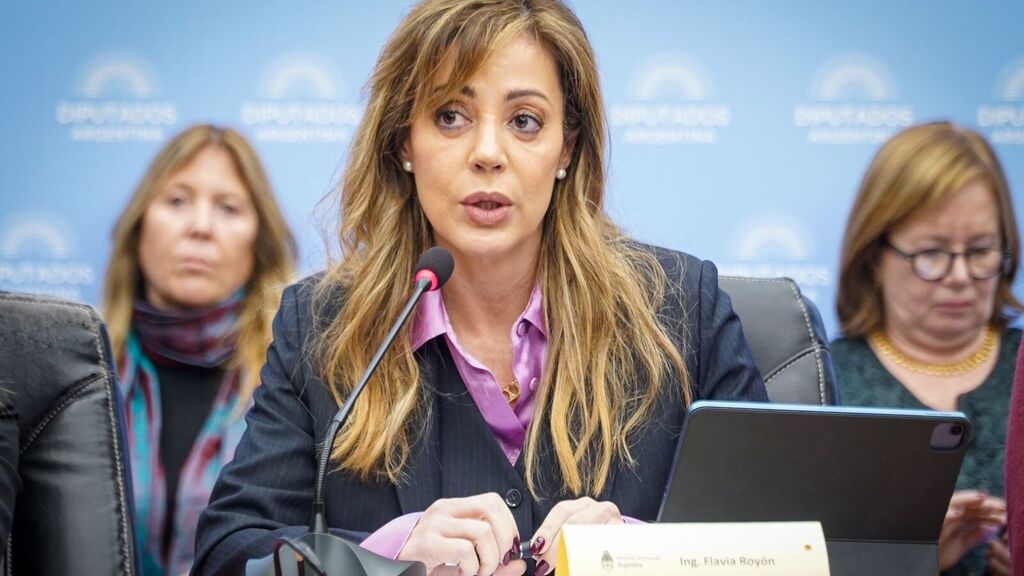 Flavia Royón, Secretaría de Energía, Ministerio de Economía