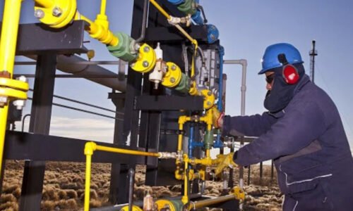 Vaca Muerta, Insumos, Restricción a importaciones