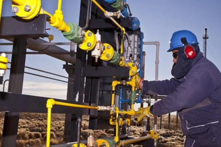 Vaca Muerta, Insumos, Restricción a importaciones