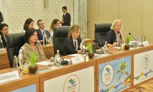 Transición energética, G20, gas. GNL, Secretaría de Energía, Flavia Royón