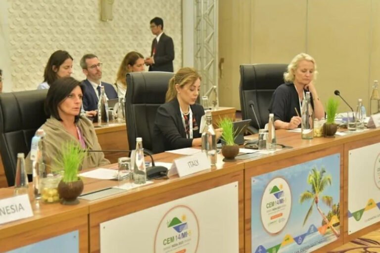 Transición energética, G20, gas. GNL, Secretaría de Energía, Flavia Royón