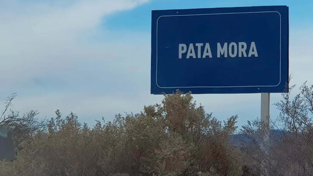 Mendoza, Pata Mora, Parque Industrial, Polo Logístico, Vaca Muerta