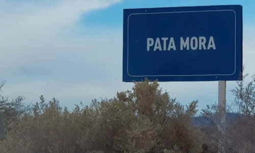 Mendoza, Pata Mora, Parque Industrial, Polo Logístico, Vaca Muerta