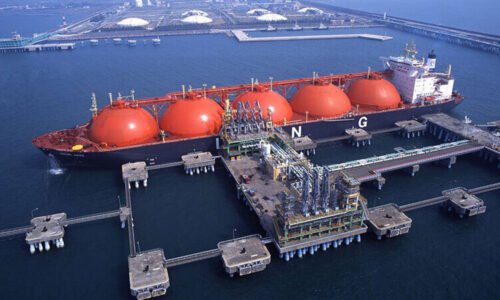 Gas Natural Licuado, Vaca Muerta, Petronas, YPF
