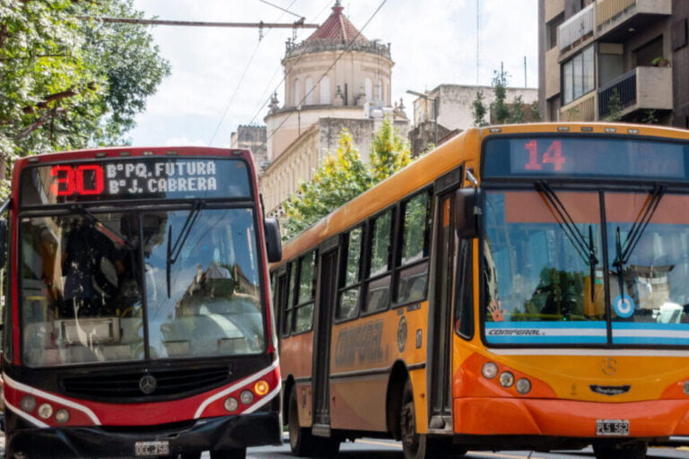Colectivos, Transporte público Córdoba
