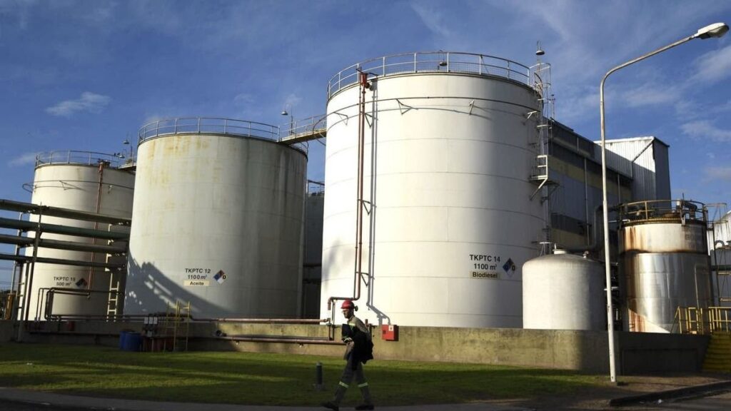 Biodiesel, combustibles, paro