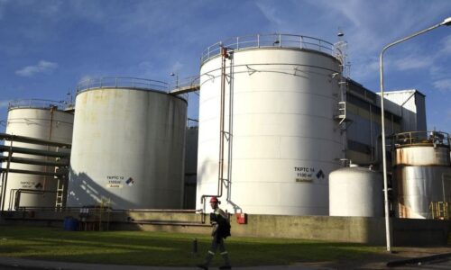 Biodiesel, combustibles, paro