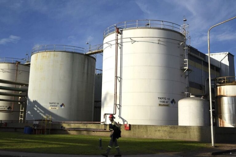 Biodiesel, combustibles, paro