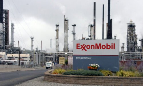 ExxonMobil, Vaca Muerta, Hidrocarburos