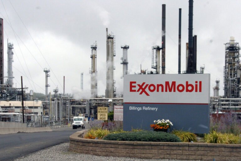 ExxonMobil, Vaca Muerta, Hidrocarburos