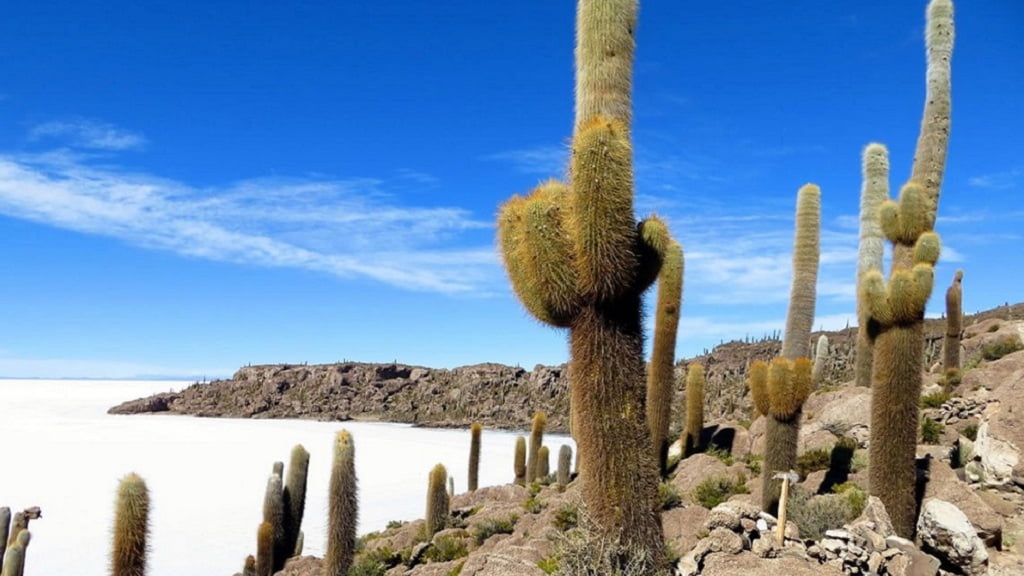 Salar Incahuasi en Salta