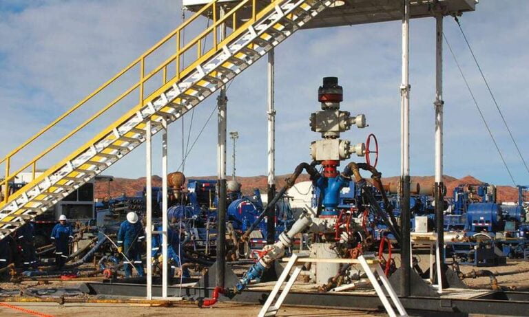 Hidrocarburos, Petróleo, Flavia Royón