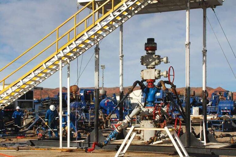 Hidrocarburos, Petróleo, Flavia Royón